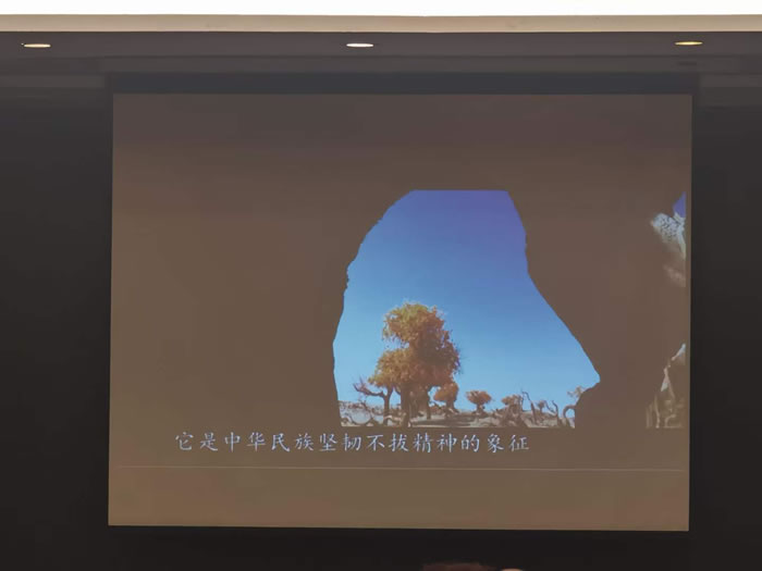 &#22810;&#23453;&#32593;&#39029;&#29256;&#45;&#22810;&#23453;&#65288;&#20013;&#22269;&#65289;
